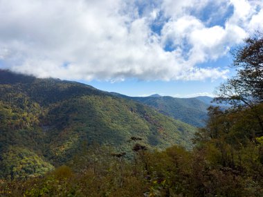 Güneşli bir günde Blue Ridge Parkway 'deki değişen yaprakların güzel manzarası..