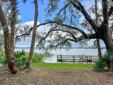 The lake at Trimble Park in Mount Dora, Florida on a sunny winter day. clipart