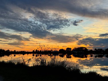 Florida 'daki Everglades Ulusal Parkı' nda güzel bir günbatımı..