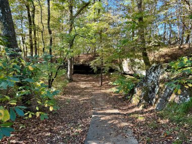 Natchez Trace Parkway 'in batık izi Natchez Trace Parkway boyunca..