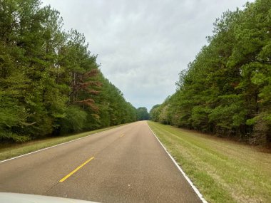 Mississippi, Tupelo yakınlarındaki Natchez Trace Parkway 'e gidiyorum.