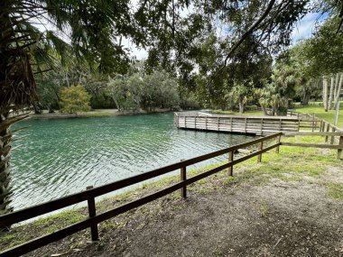 Bulutlu bir günde Florida 'daki Gemini Springs Parkı.