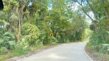 Orange City, Florida 'daki Blue Springs Eyalet Parkı' na giden yol..