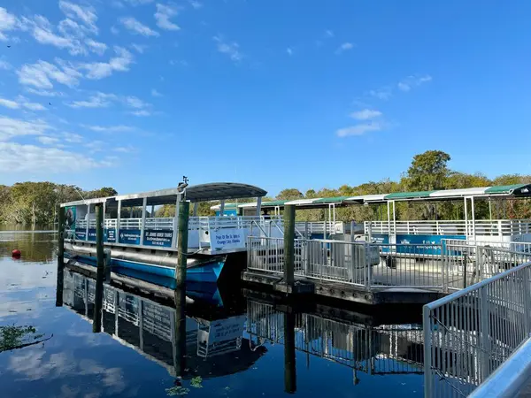 Orange City, FL USA - 4 Şubat 2022: Orange City, Florida 'daki Blue Springs State Park' taki yaylı duba tur botları.