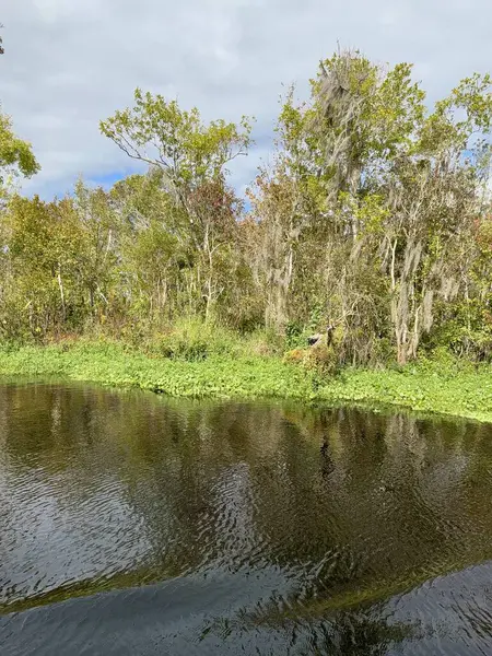 stock image The tour on the spring and St. Johns river at Blue Springs State Park in Orange City, Florida.