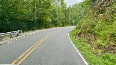 Kuzey Carolina, Marion yakınlarındaki Pisgah Ulusal Ormanı 'nda Blue Ridge Parkway' e yakın bir ormanda sürüyorum..