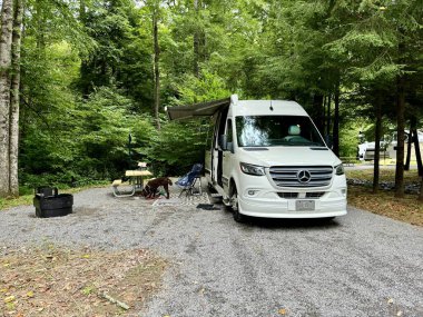 Burnsville, NC USA - 13 Ağustos 2024: Burnsville, NC USA yakınlarındaki Black Mountain Kampı 'ndaki bir kamp alanındaki ormanda bir Mercedes karavanı bulundu.