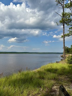 The Crooked River at Crooked River State Park near St. Marys, Georgia USA on a sunny day. clipart