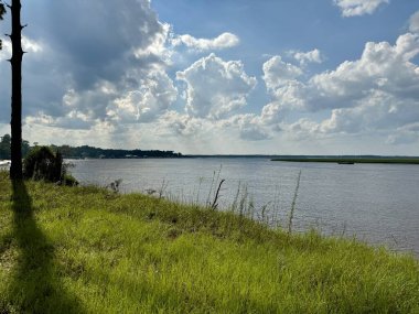 Güneşli bir günde Georgia, St. Marys yakınlarındaki Eğri Nehir Parkı 'nda..
