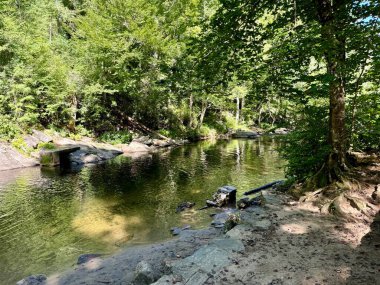 Brevard, NC yakınlarındaki Pisgah Ulusal Ormanı 'ndaki Davidson Nehri Kampı' nda bir yüzme alanı..