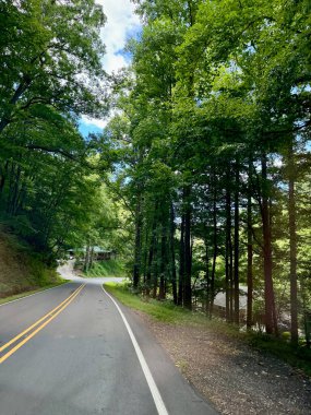 Burnsville, Kuzey Carolina yakınlarındaki Pisgah Ulusal Ormanı 'nda Blue Ridge Parkway' e yakın bir ormanda sürüyorum..