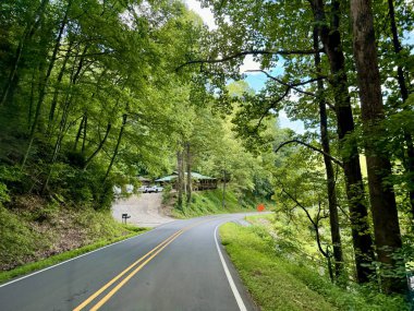 Burnsville, Kuzey Carolina yakınlarındaki Pisgah Ulusal Ormanı 'nda Blue Ridge Parkway' e yakın bir ormanda sürüyorum..