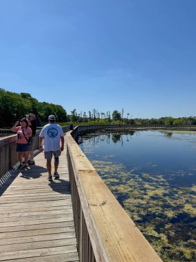 Orlando, FL USA - 14 Nisan 2025 Orlando Wetlands Vahşi Yaşam Parkı, Florida ABD.