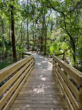 Green Springs Parkı 'na giden bir patika..