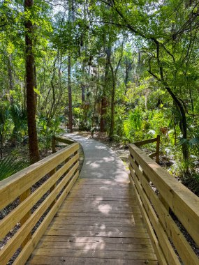 Green Springs Parkı 'na giden bir patika..