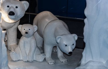 Kutup ayıları heykeli, şehirde beyaz kutup ayıları