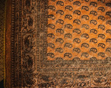 Kirli, tozlu halı, halıda kedi tüyü..