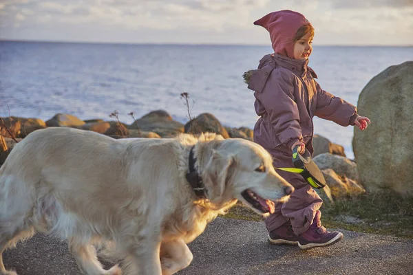 Niño Encantador Paseando Con Perro Orilla Del Mar Noche Dinamarca —  Fotos de Stock
