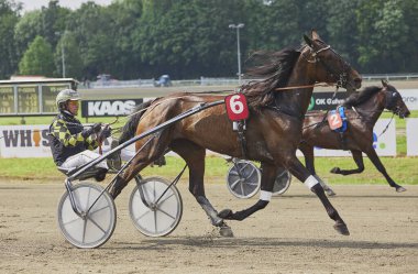 Odense, Denmark, May 31, 2024: Horse racing with carts at the hippodrome clipart