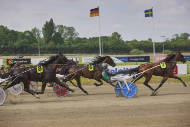 Odense, Denmark, May 31, 2024: Horse racing with carts at the hippodrome clipart