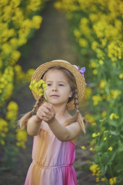 Yakut tohumu tarlasında güzel bir çocuk..