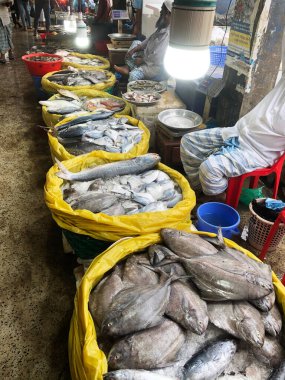 Balık pazarındaki deniz ürünleri.