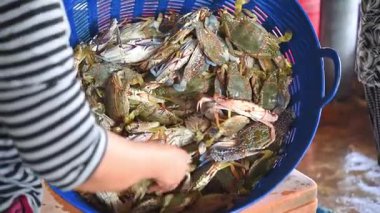 Taze çiğ deniz çiçek yengeç (portunus pelagicus) premium sınıf görüntü deniz ürünleri pazarında Satılık veya Tay street gıda kullanım beyazlatılmış yengeç buharda pişirmek için