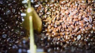 Kahve dükkanı kafe veya restoranda kavurma kahve çekirdekleri makinesinde kavurma kahve çekirdekleri ve kavrulmuş kahve çekirdekleri