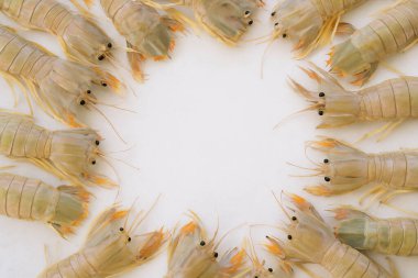 Yapay zeka, canlı çizgili kabuklu taze peygamber devesi karidesi ve temiz beyaz arka plana karşı düzgünce düzenlenmiş egzotik deniz ürünleri sergiliyordu.