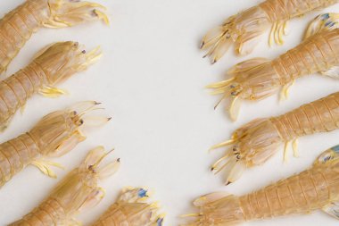 Yapay zeka, canlı çizgili kabuklu taze peygamber devesi karidesi ve temiz beyaz arka plana karşı düzgünce düzenlenmiş egzotik deniz ürünleri sergiliyordu.