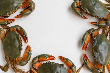 Yapay zeka, canlı kabuklu ve keskin pençeli taze mavi yengeçleri temiz beyaz arka plana karşı düzgünce yerleştirerek birinci sınıf deniz ürünlerini gösterdi.