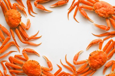 Yapay zeka, temiz beyaz arkaplana karşı düzgünce sergilenen lüks deniz ürünleri sergilenen, el değmemiş beyaz kabuklu ve uzun zarif bacaklı taze yengeçleri üst üste getirdi.