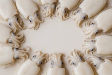 Yapay zeka, pürüzsüz derisi olan taze mürekkep balığının üst görüntüsünü oluşturdu ve temiz beyaz arka plana karşı özenle düzenlenmiş kaliteli deniz ürünleri sergiliyordu.