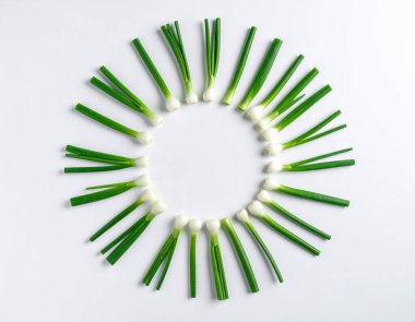 Yapay zeka canlı yeşil soğanların (taze soğanlar / taze soğanlar) taze seçilmiş kalitelerini temiz beyaz arka plana karşı göstererek dairesel bir formda dizilmiş canlı görüntüsünü oluşturdu.