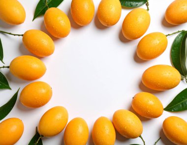 Yapay zeka, parlak su damlacıklarıyla dairesel dizilmiş altın-turuncu akçaağaç meyvelerinin canlı görüntüsünü oluşturdu, pürüzsüz derilerini ve temiz beyaz arka planda taze köklerini sergiledi.