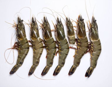 Yapay zeka, parlak kabuklu taze siyah kaplan karidesleri ve temiz beyaz arka plana karşı düzgünce düzenlenmiş doğal güzelliği gösteren canlı renkler üretti.