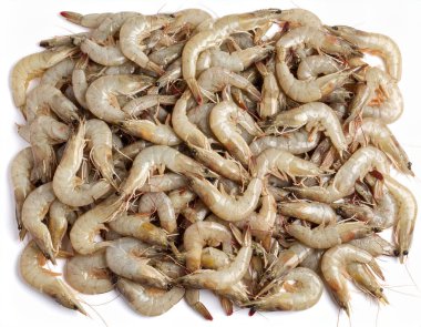 Yapay zeka, şeffaf kabukları ve hassas özellikleri olan taze nehir karideslerinin temiz beyaz arka plana karşı doğal güzelliklerini sergiliyordu.