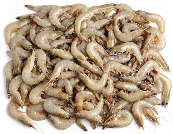 Yapay zeka, şeffaf kabukları ve hassas özellikleri olan taze nehir karideslerinin temiz beyaz arka plana karşı doğal güzelliklerini sergiliyordu.