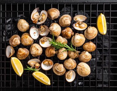 Yapay zeka kömürün üzerinde ızgara yapılmış taze tatlı istiridye manzarası oluşturdu, dumanlı aroma ve sulu etle mükemmel pişirildi. Biberiye ve limon dilimleriyle süslenmiş tuzlu ve karabiberli..