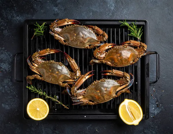 Yapay zeka, mangal kömürü üzerine ızgara yapılmış taze mavi yengeçleri, dumanlı aroması ve sulu etiyle mükemmel pişirilmiş taze bir görüntü oluşturdu. Tuz ve karabiberle tatlandırılmış, biberiye ve limonla süslenmiş..