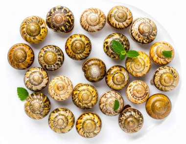 Yapay zeka, temiz beyaz arkaplana karşı özgün desenli deniz ürünleri sergilenen benekli salyangozların üst görüntüsünü oluşturdu.