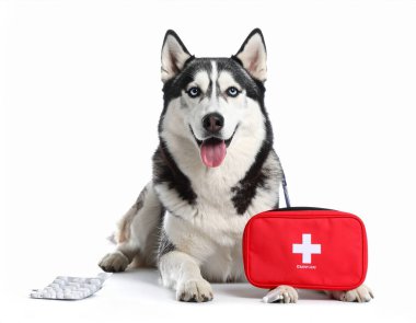 AI, acil durum yastıklarına sahip mutlu Sibirya köpekleri üretti. Bu, evcil hayvan acil bakımını ve hayat kurtaran veteriner tedavi kavramını sembolize ediyor. Beyaz arka plan hayvan sağlığı krizi tepkisi.