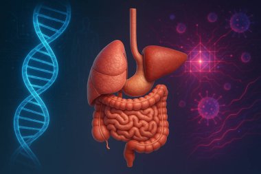 Yapay zeka, ileri genetik analiz ve biyokimyasal enerji akışını temsil eden soyut biyoteknolojik elementlerle insan sindirim organlarını fütüristik bir tıbbi ortamda gösteren bir görüntü oluşturdu.