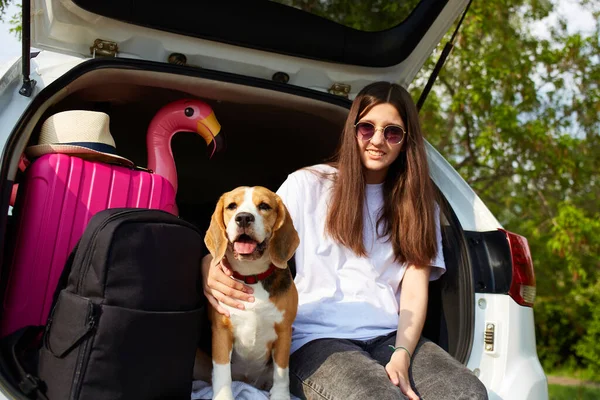 Uma Menina Feliz Cão Beagle Estão Sentados Bagageira Carro Lado — Fotografia de Stock