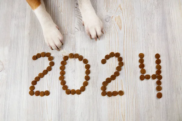 2024 'te kuru yiyecek ve köpek pençeleri var. Bir evcil hayvanla mutlu yıllar 2024.