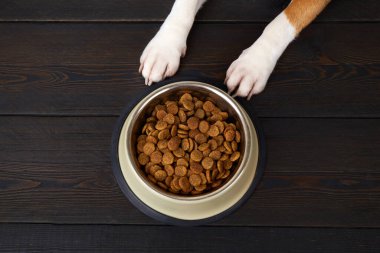 Koyu ahşap zeminde bir kase kuru yemeğin yanında köpek pençeleri. Beslenmeyi bekliyor. Üst görünüm.
