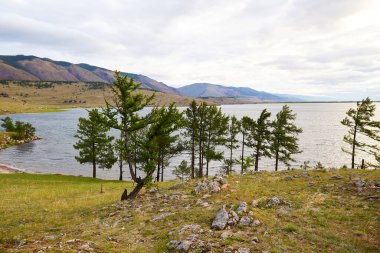 Baykal Gölü 'nün yaz manzarası. Kayalık sahilde tarlalar.