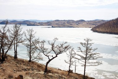 Baykal Gölü 'nün bahar manzarası. Buzların eridiği, buzların eridiği zaman. Gölün kıyısındaki tarlalar. Küçük Deniz 'in Kurkutsky Körfezi.