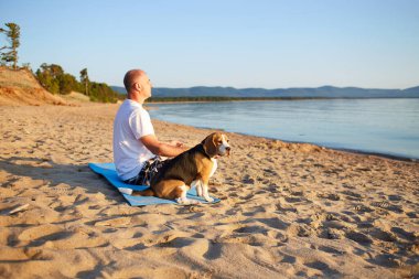 Bir adam kumlu bir plajda yoga nilüfer pozisyonunda oturuyor. Yakınlarda bir av köpeği var. Doğada meditasyon.