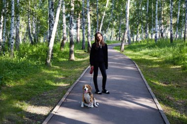 Bir kız parkta av köpeğiyle bir patikada duruyor. Güneş ışığı, yüksek ağaçların yemyeşil yeşilliklerini delip sakin bir atmosfer yaratır. Evcil bir hayvanla yürüyorum.